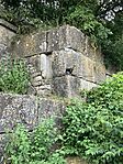 IMG_6169