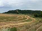 IMG_6171
