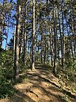 IMG_6260