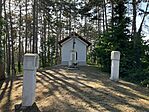 IMG_6261