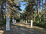 IMG_6263