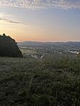 IMG_8001