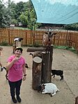 IMG_20240703_124604343