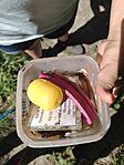 IMG_20240707_110138220