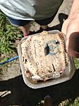 IMG_20240707_110145206