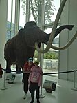 IMG_20240703_101226825