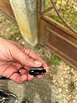 IMG_1606