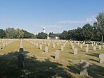 IMG_20240714_080320