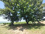 IMG_20240709_113846