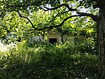 IMG_20240709_125645