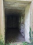 IMG_20240709_125533