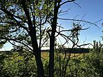 IMG_4615