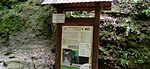 IMG_20240722_100432.jpg