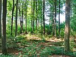 IMG_20240729_101114.jpg