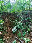 IMG_20240729_113925.jpg