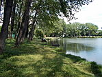 DSCN0035-001