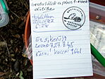 DSCN0040-002