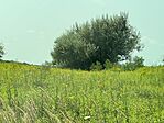 IMG_5511