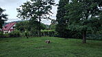 IMG20240627205320_resize