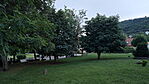 IMG20240627205104_resize