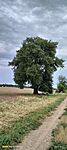 IMG20240728162712