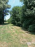 IMG_20240712_122550