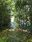 IMG_20240712_122610