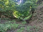 IMG_20240707_110742