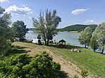 IMG_20240707_154756