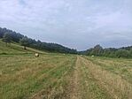IMG_20240720_092658