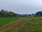 IMG_20240720_094659