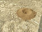 IMG_20240720_095438