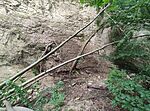 IMG_20240720_164326