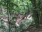 IMG_20240720_164428