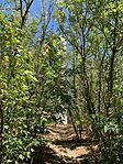 IMG_5568