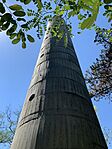 IMG_5570