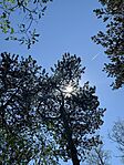 IMG_5582