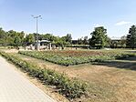 IMG_20240726_145548