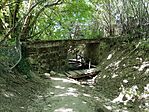 IMG_20240727_132753