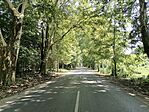 IMG_20240727_135009