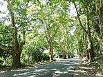 IMG_20240727_135140