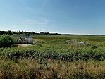 IMG_20240727_150848