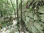 IMG_20240727_152404