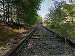 IMG_20240727_152607