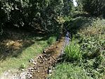 IMG_20240727_154324