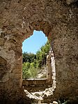 IMG_20240727_115229