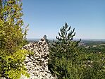 IMG_20240727_115308