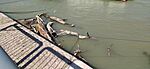 IMG_20240727_153806