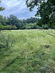 IMG_3182