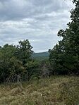 IMG_3181
